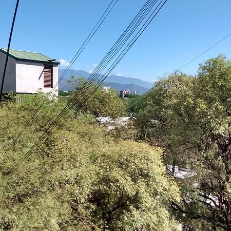 Apartmán Acogedor Departamento Frente Al Parque Civico Mendoza Exteriér fotografie